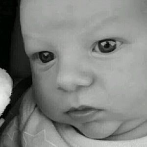 Meet your Posher, Bailey